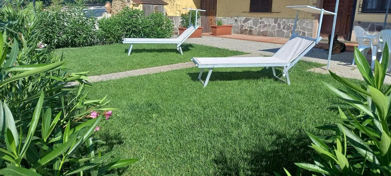 Сasa de vacaciones Appartamento Alisa Castiglione della Pescaia